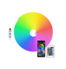 Cargar imagen en el visor de la galería, Cinta LED Neón Flexible Pixel RGBIC Smart USB
